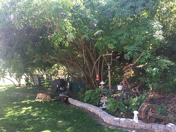 Flower Garden, Fire Pit Area