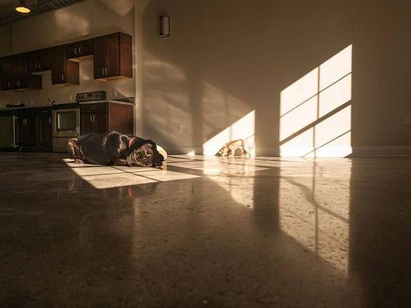 4th image of 733 Broadway APT 303