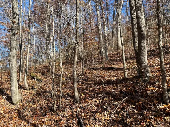 Highland Ave, Richlands, VA 24641