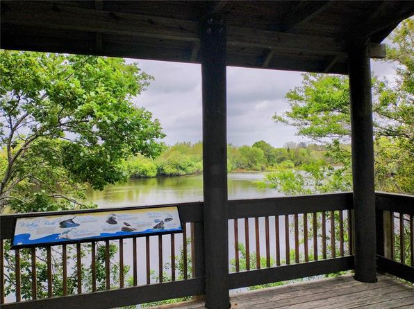 saint-petersburg-florida-46966603 picture