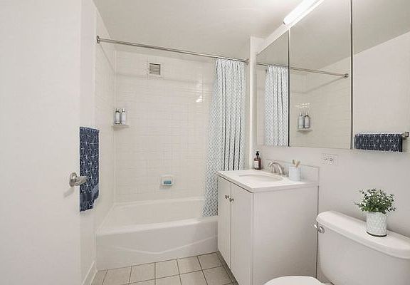 5th image of 229 Chrystie St APT 807