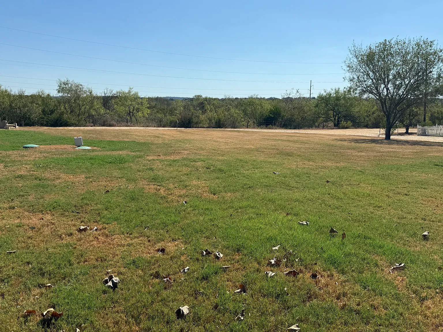 1 bed, $650 — Photo 3