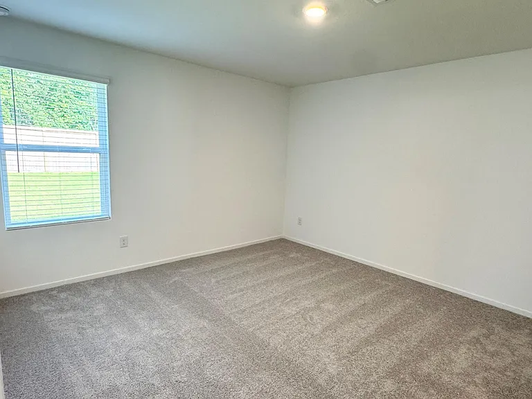 31509 Pianella Ln — Photo 10