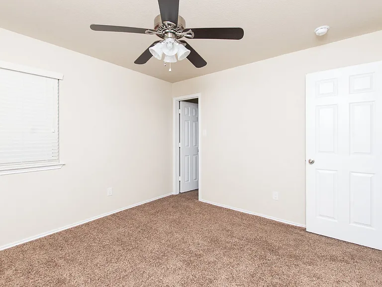 3007 Black Orchid Dr — Photo 11