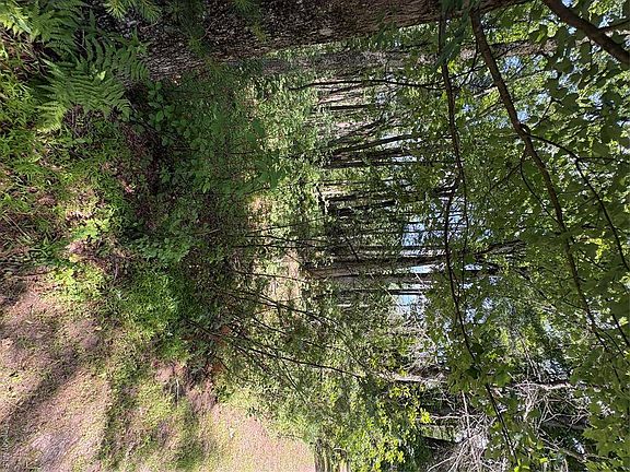 5th image of 0 Belair Rd
