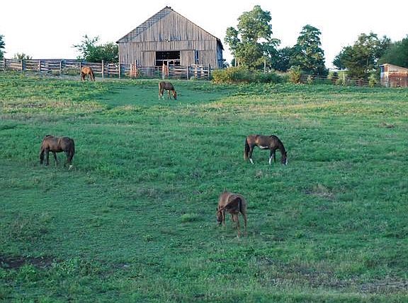 4th image of 265 Gadwall Dr