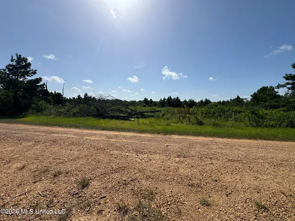 32A Sauls Rd, Ruth, MS 39662