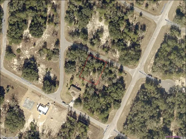 UNDETERMINED LOT 5, WEIRSDALE, FL, FL 32195