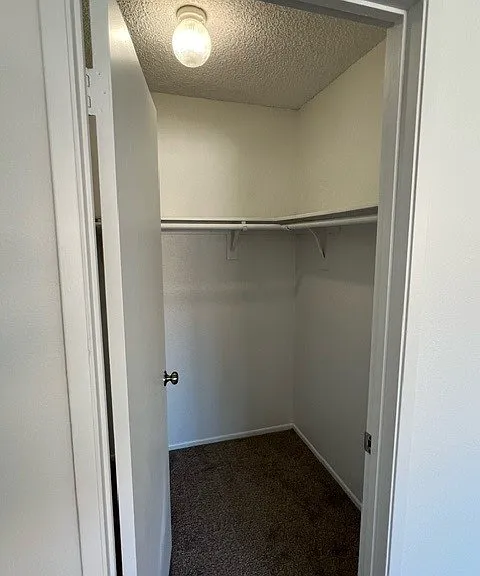 Separate walk-in closet in 3rd bedroom