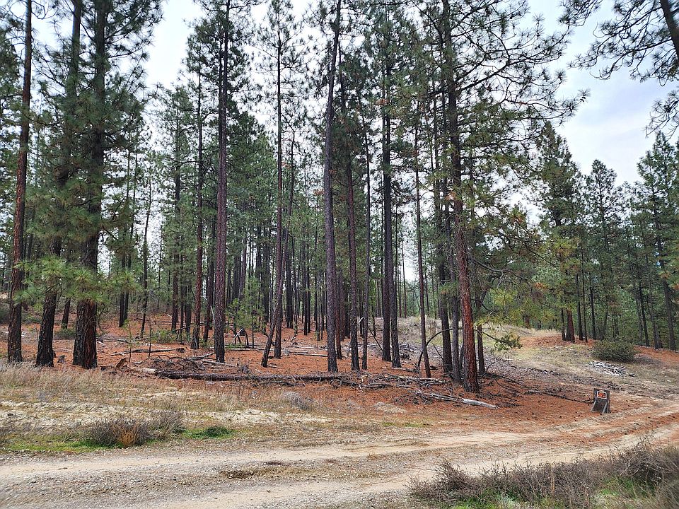 1st image of 1289 Inez Way