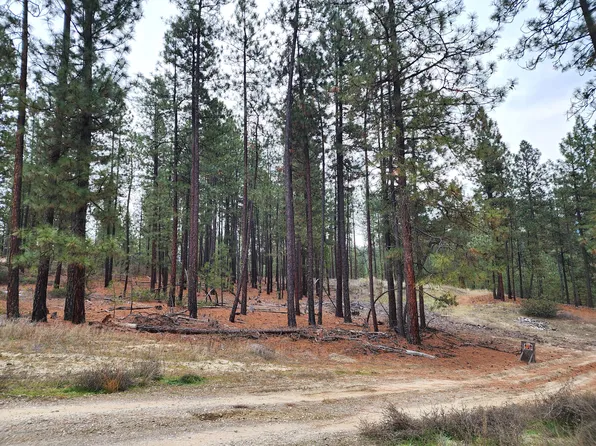 1289 Inez Way, Kettle Falls, WA 99141