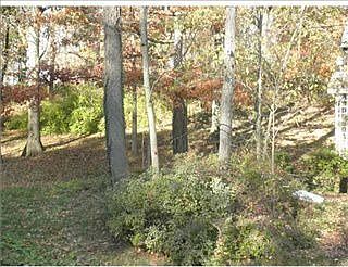 2nd image of 855 Pittsburgh Rd