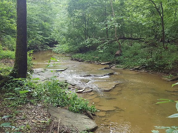 3rd image of 20 Camp Branch Trl