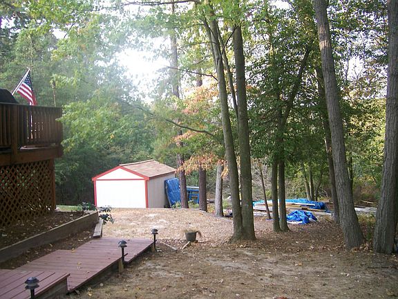 back yard