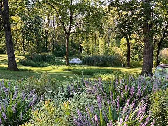 View out front door to pond