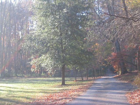 Getting the morning paper