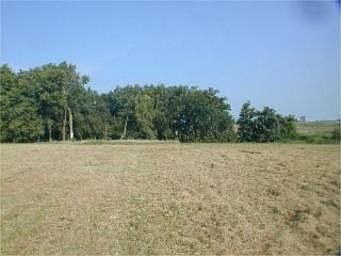1st image of 13520 Short Cir
