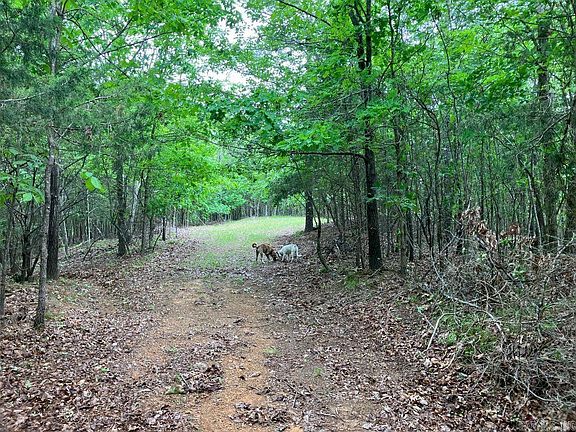 3rd image of TRACT 4 Thompson Creek Ln