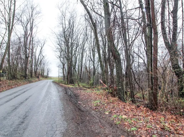 0 Township Road 289, Hammondsville, OH 43930