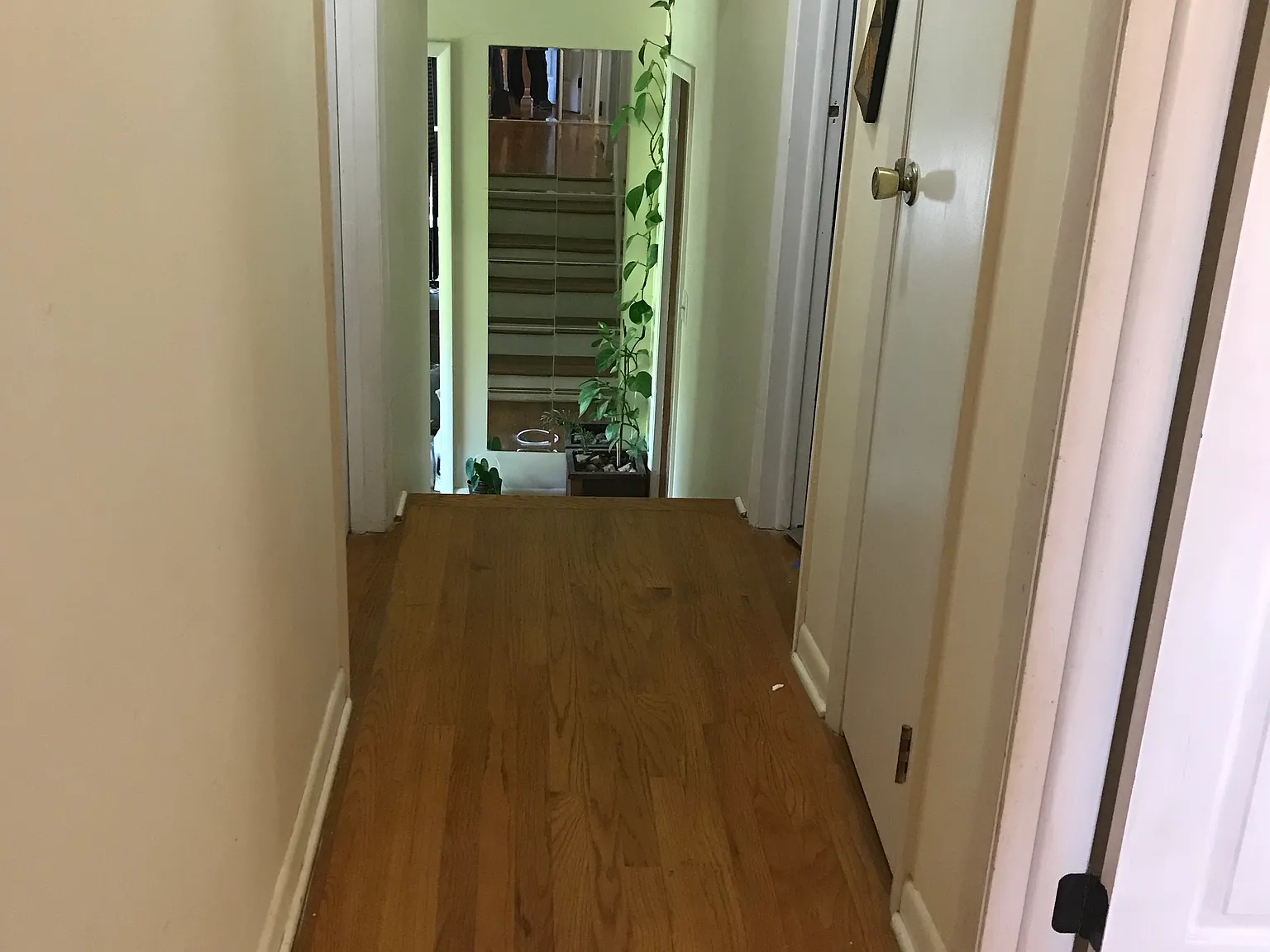 2629 Commonwealth Dr — Photo 2