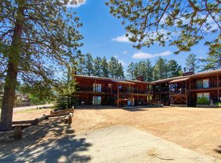 20 Squaw Valley Ln #301, Angel Fire, NM 87710