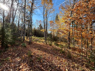 Lot 9 Moose Ridge Road, Rangeley, ME, 04970