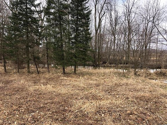 3rd image of 10220 Woodbridge Rd