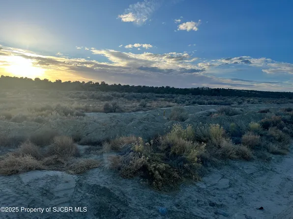 Xx Rd #3536, Flora Vista, NM 87415