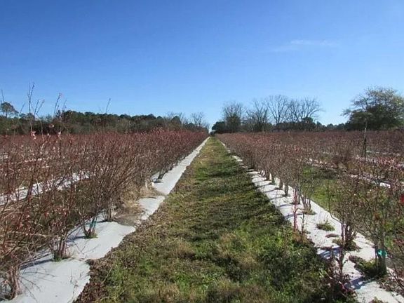 5th image of 1019 D H Alderman Rd #120