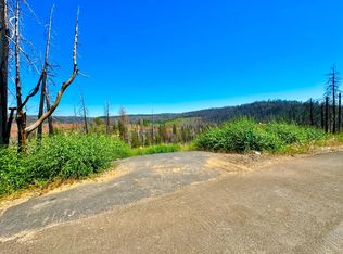 6700 Tyler Dr, Grizzly Flats, CA 95636