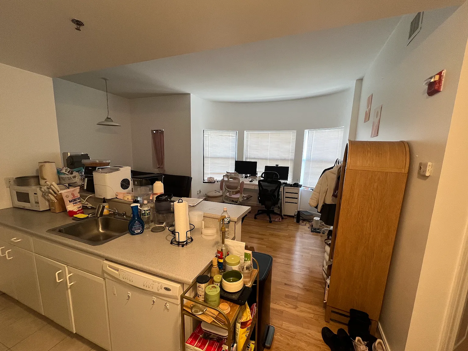 1 bed, 550 sqft, $3,100 — Photo 2