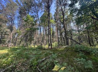 Eileen Ln, Lyndon Station, WI 53944