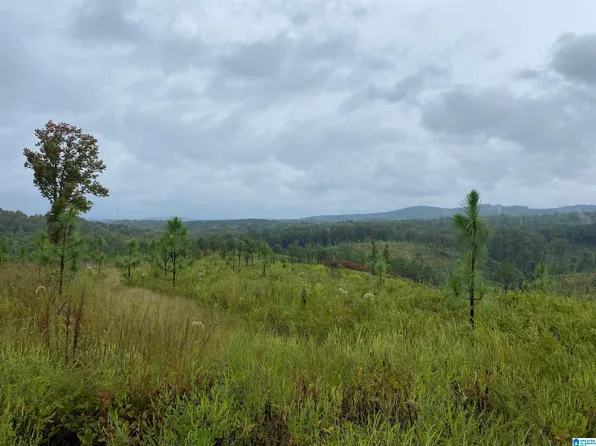 0 County Road 204, Heflin, AL 36264