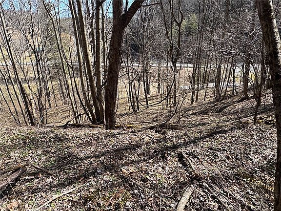 5th image of 5.33 Acres Charlie King Road