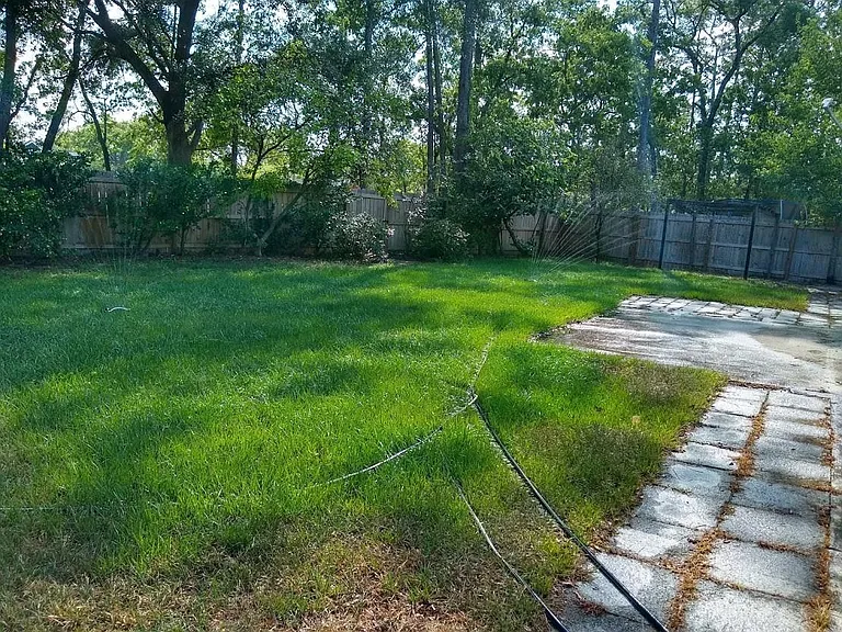Back yard