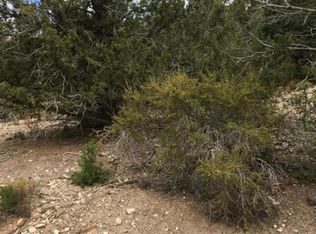 43 N Sundance Kid Trl, Central, UT 84722