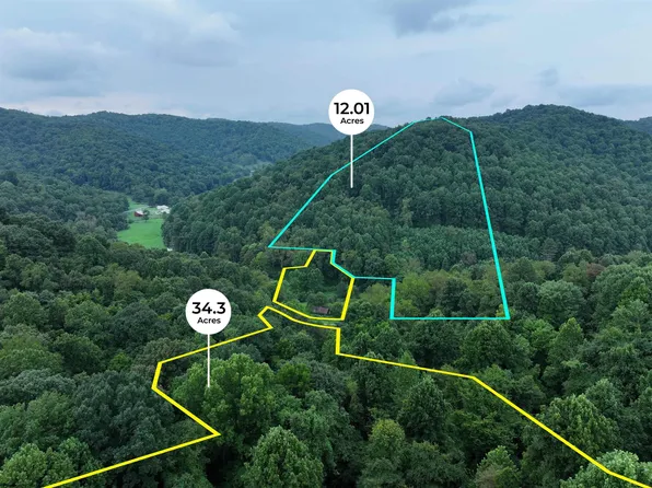 162 Sheets Hollow Rd, Wana, WV 26590