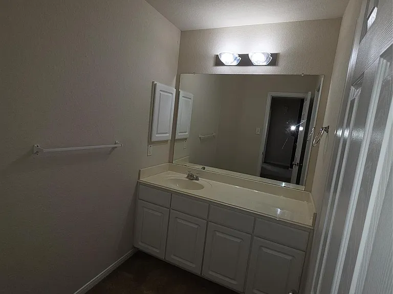 11507 Baldwin Spruce Trl — Photo 27