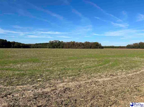 Highway 381 S, Clio, SC 29525