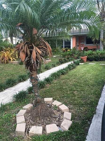 1st image of 9640 Haitian Dr
