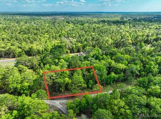 7451 W Rainbow St, Dunnellon, FL 34433