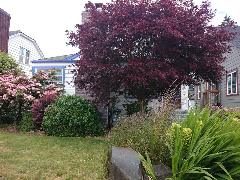 1st image of 8314 21st Ave NW