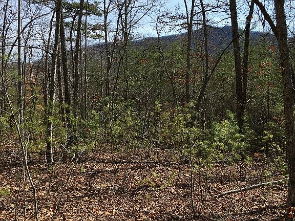 3rd image of LOT 12 Asheland Cove Dr