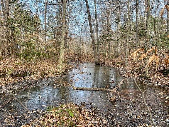 5th image of 0 Woodward Ln