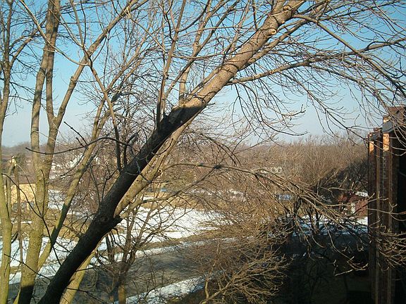 2nd image of 1101 S Hunt Club Dr APT 202