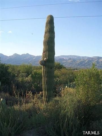 2nd image of 4075 S Saguaro Monument Pl