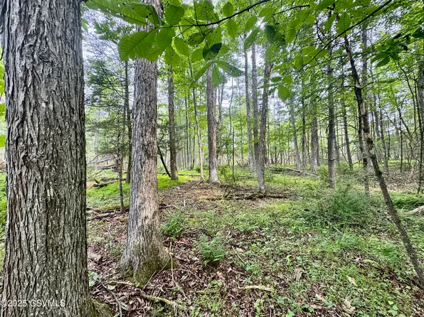 Hollow Rd, Millville, PA 17846