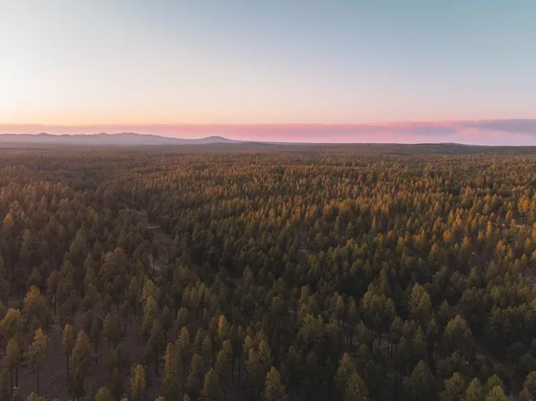 7770 Forest Service 122 Rd, Happy Jack, AZ 86024
