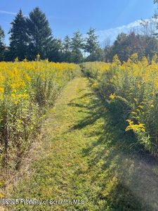 641 Spring Hill Rd, Moscow, PA, 18444