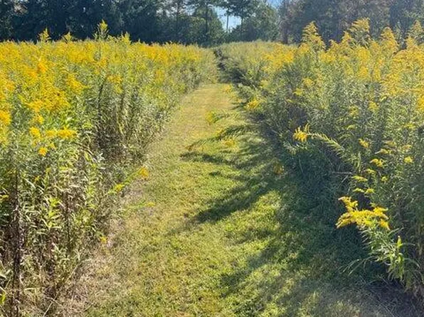 641 Spring Hill Rd, Moscow, PA 18444